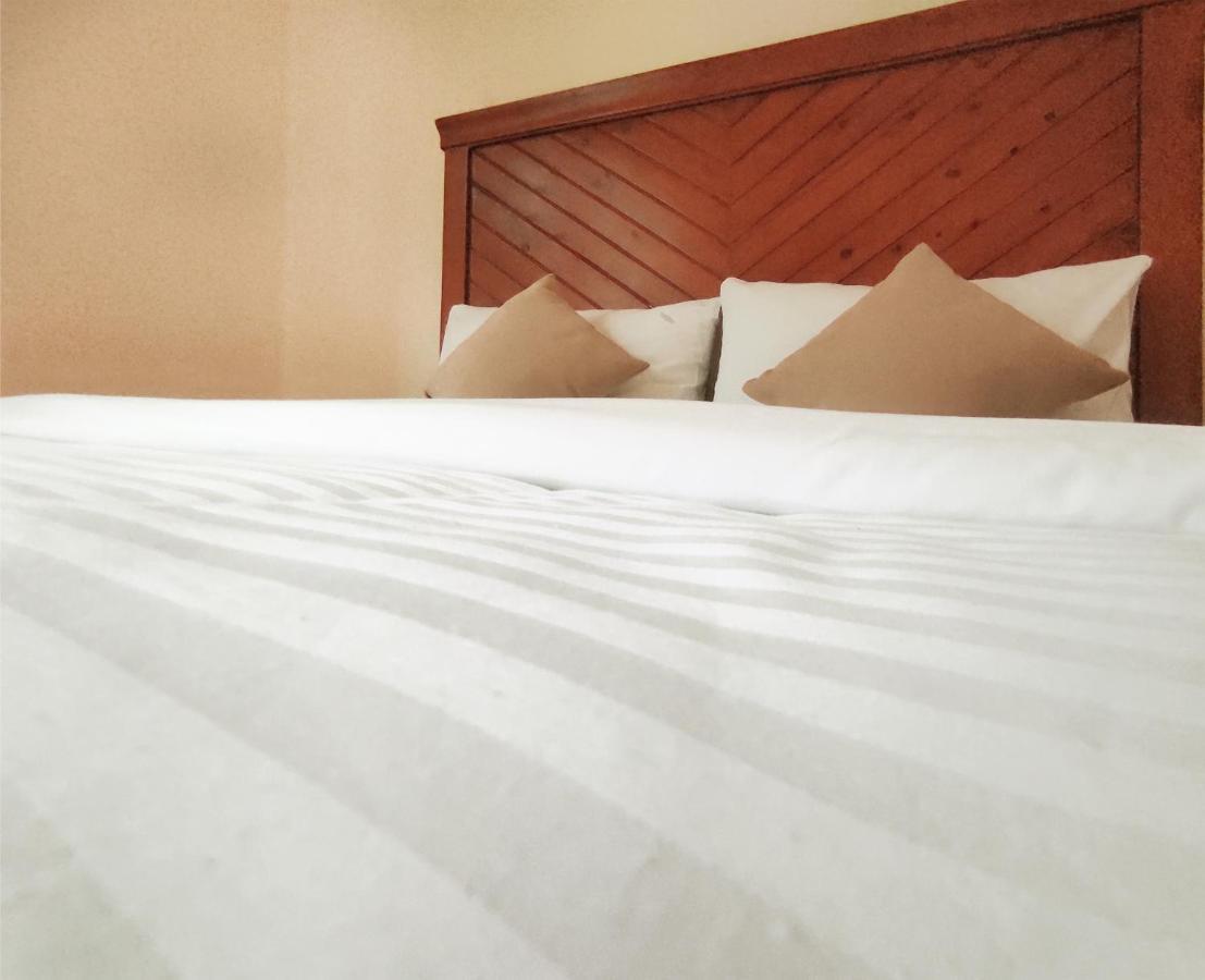 Albergue House Cairo